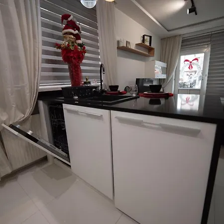 Daire Jelenar Novi Sad