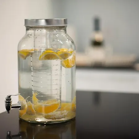 Jelenar Daire Novi Sad